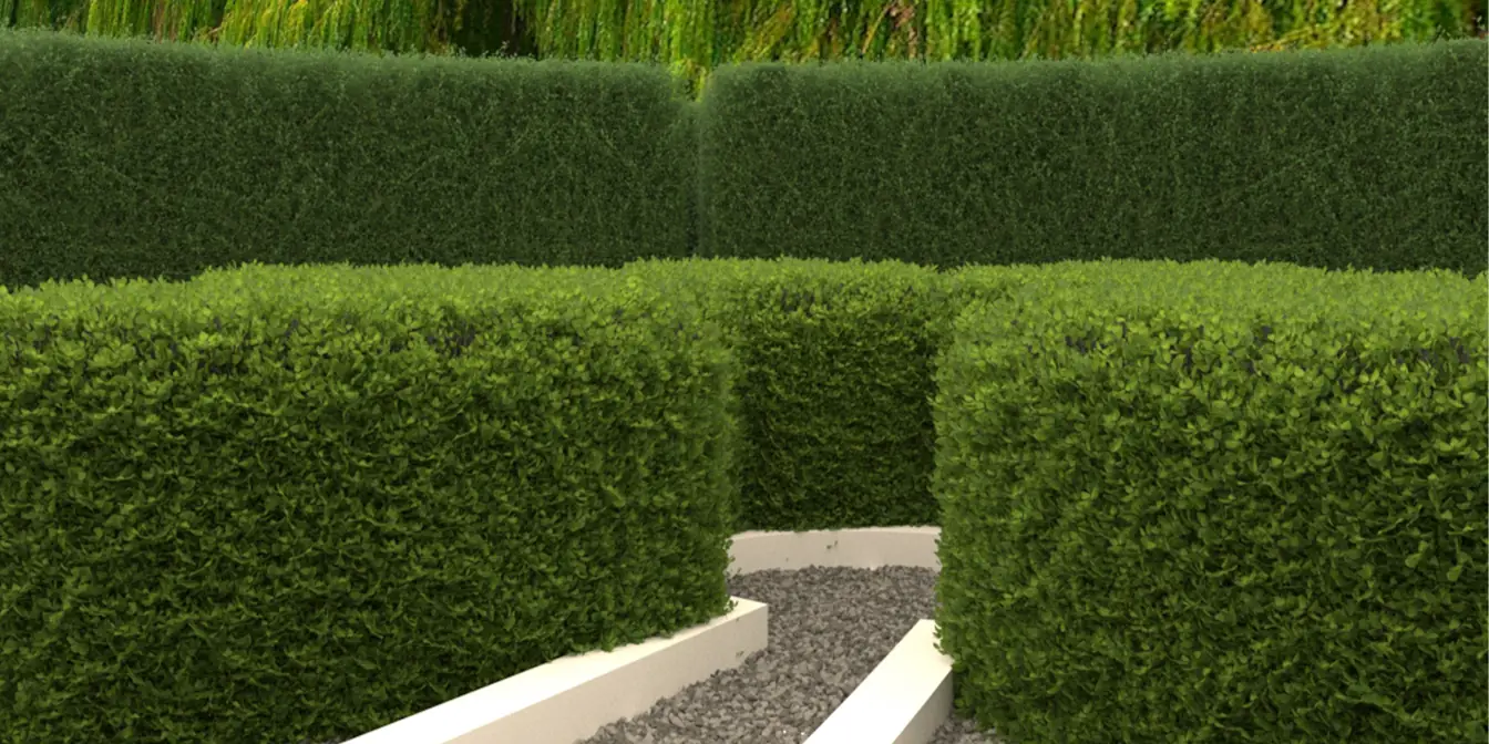 Proyecto El Laberinto Lamina023